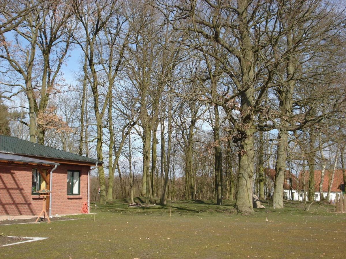 Peaceful Apartment In Zarnewanz Near Baltic Sea Екстер'єр фото